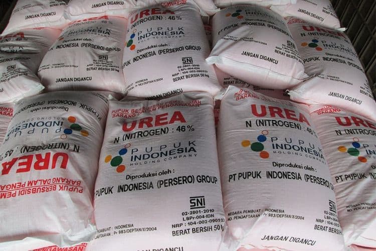 Pupuk Indonesia Percepat Transformasi, 57 Entitas Disederhanakan Jadi 17 Entitas